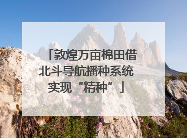 敦煌万亩棉田借北斗导航播种系统实现“精种”